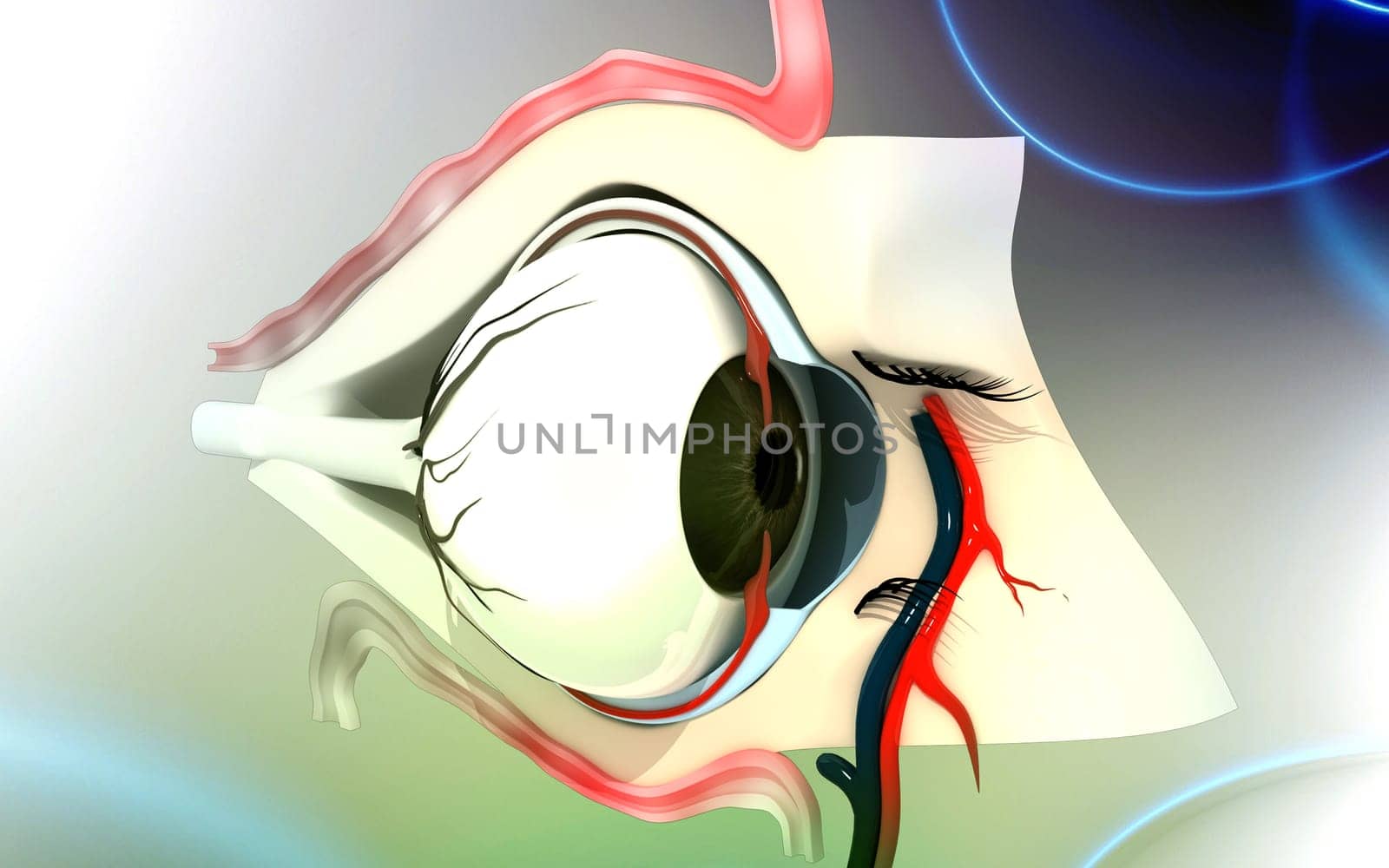 Digital illustration of eye in colour background