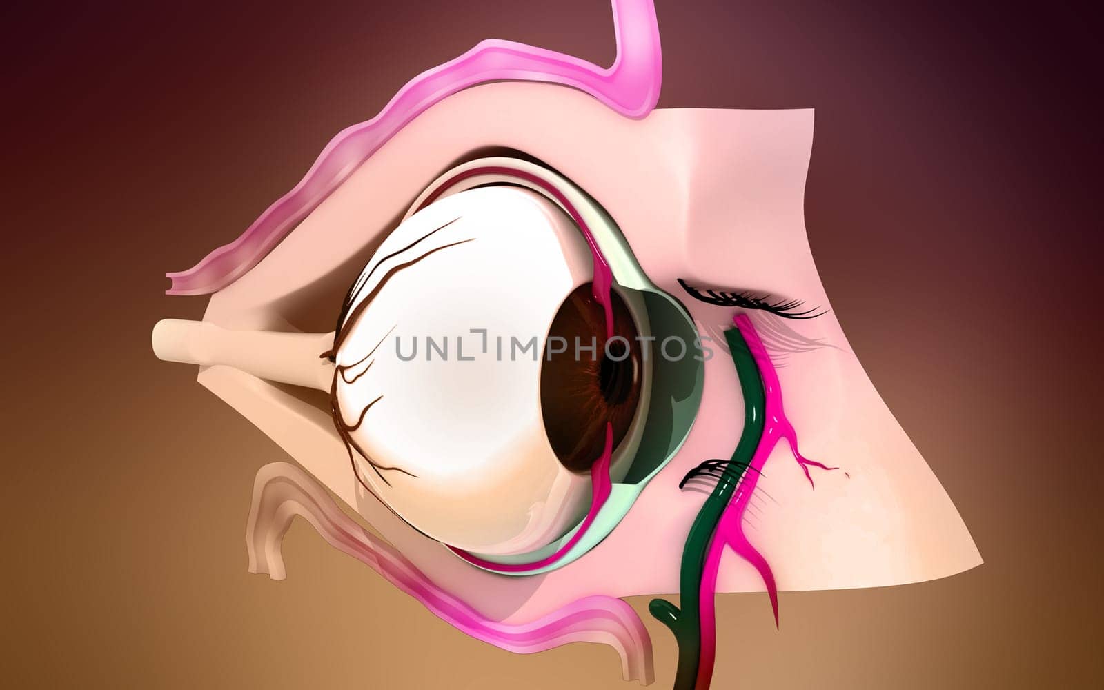 Digital illustration of eye in colour background