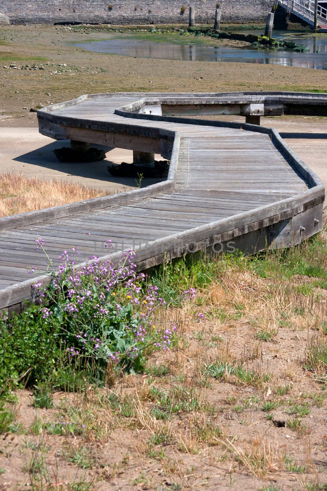 Vertical shot of a winding wooden pier during low tide