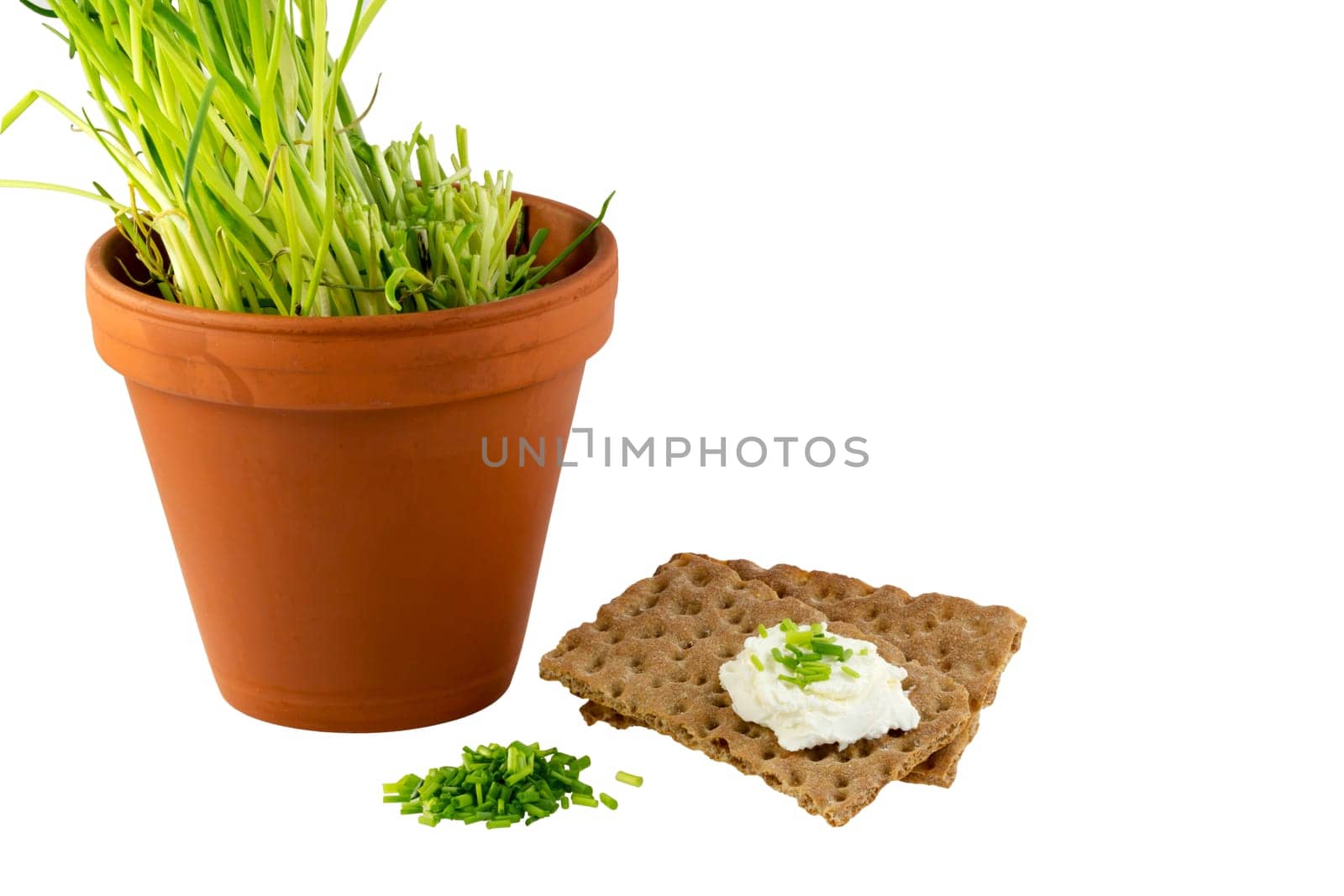 Crispbread with cream cheese and chives and the pot
