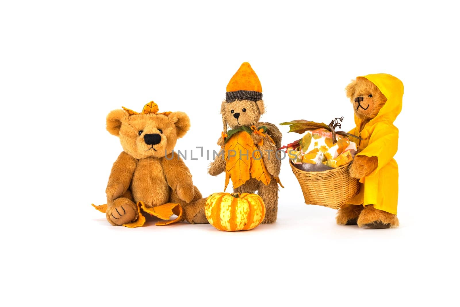 Martin Teddy Bears