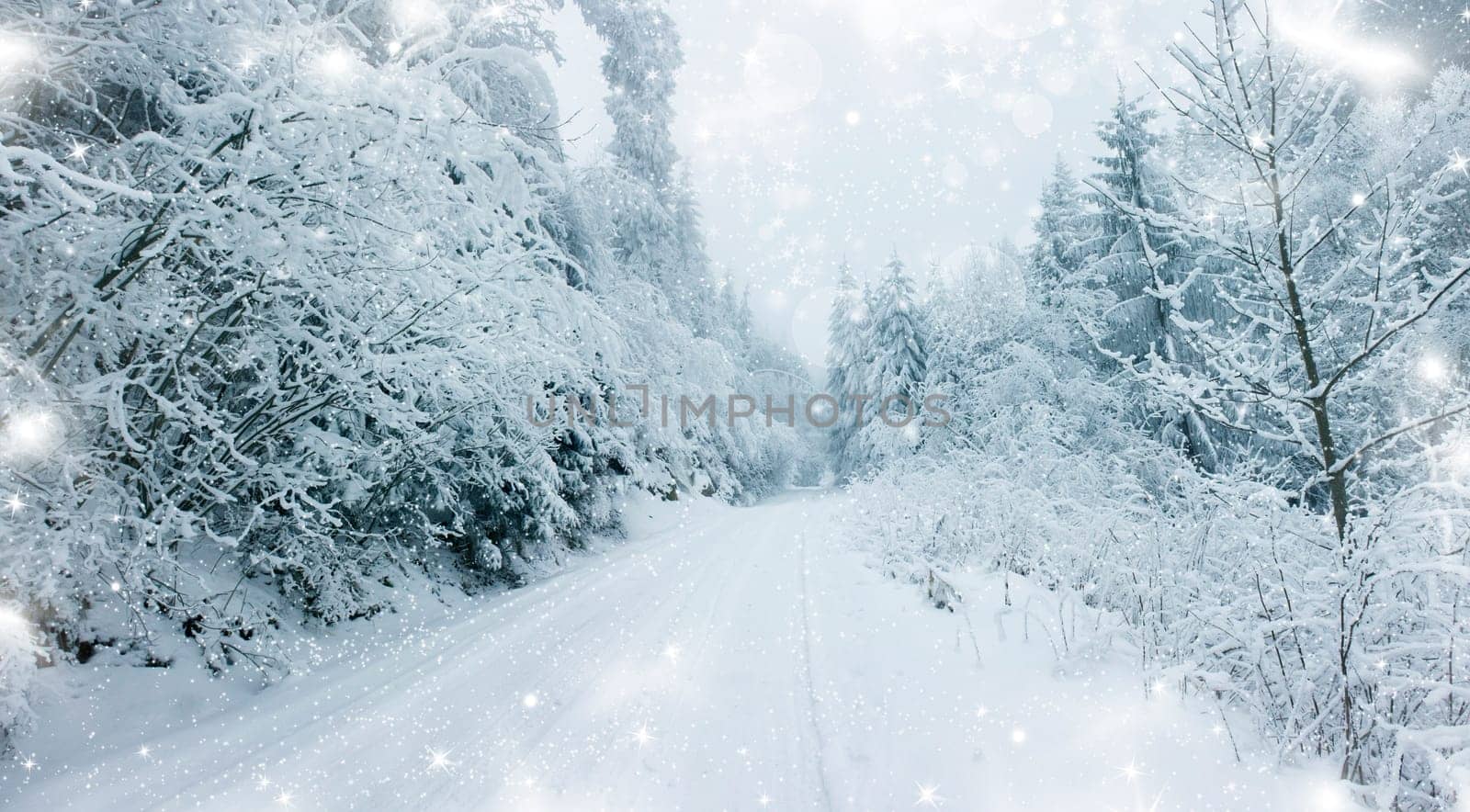 Snow cowered winter road in the mountains