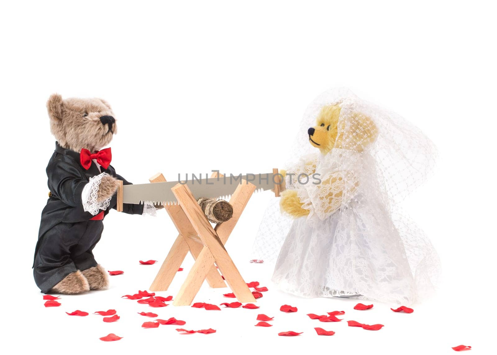 Martin Teddy Bears