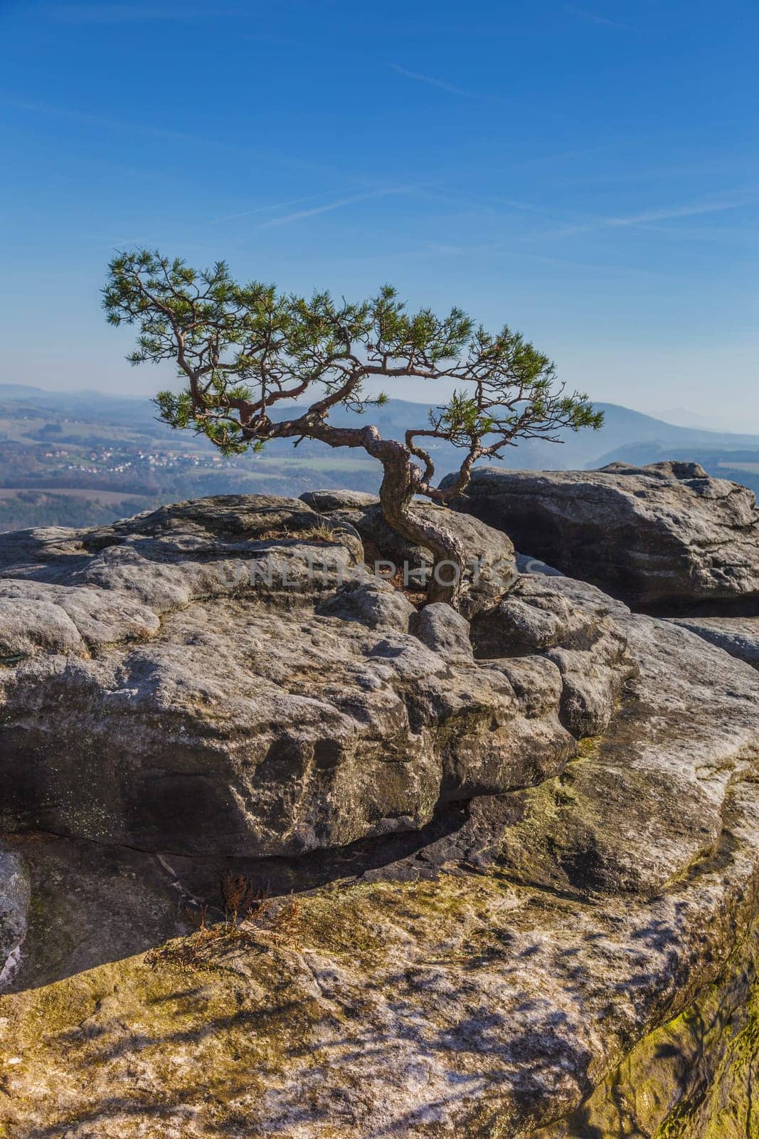 Elbe Sandstone Mountains