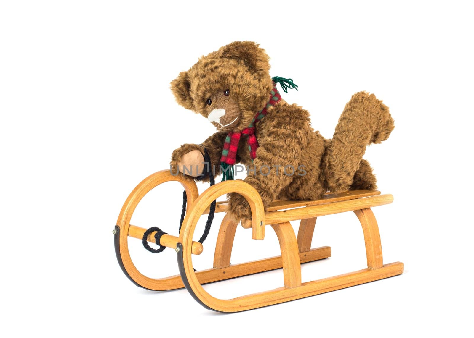 Martin Teddy Bears