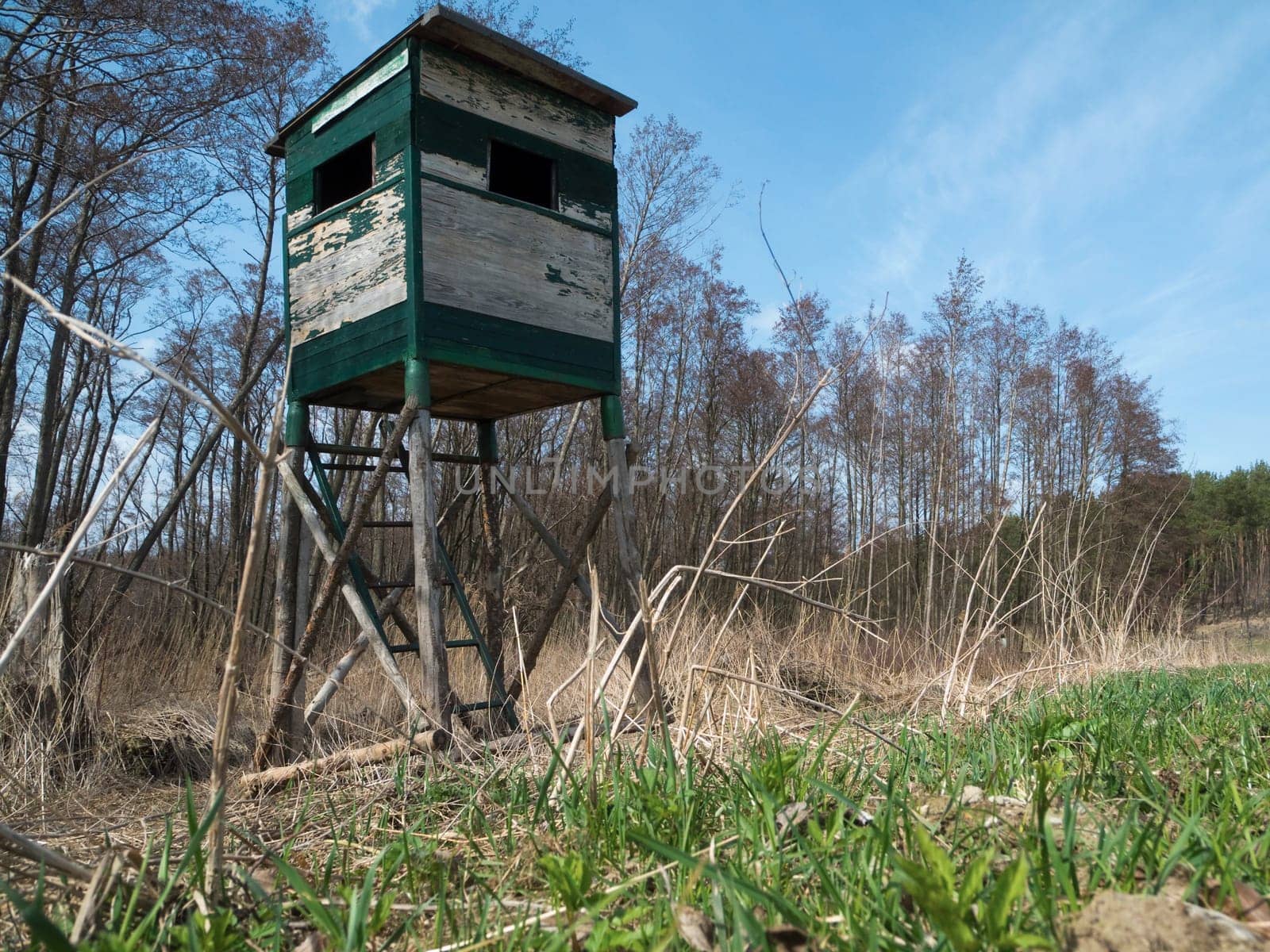 High seat on a clearing in on the island of Usedom on the Achterwasser from the frog's perspective