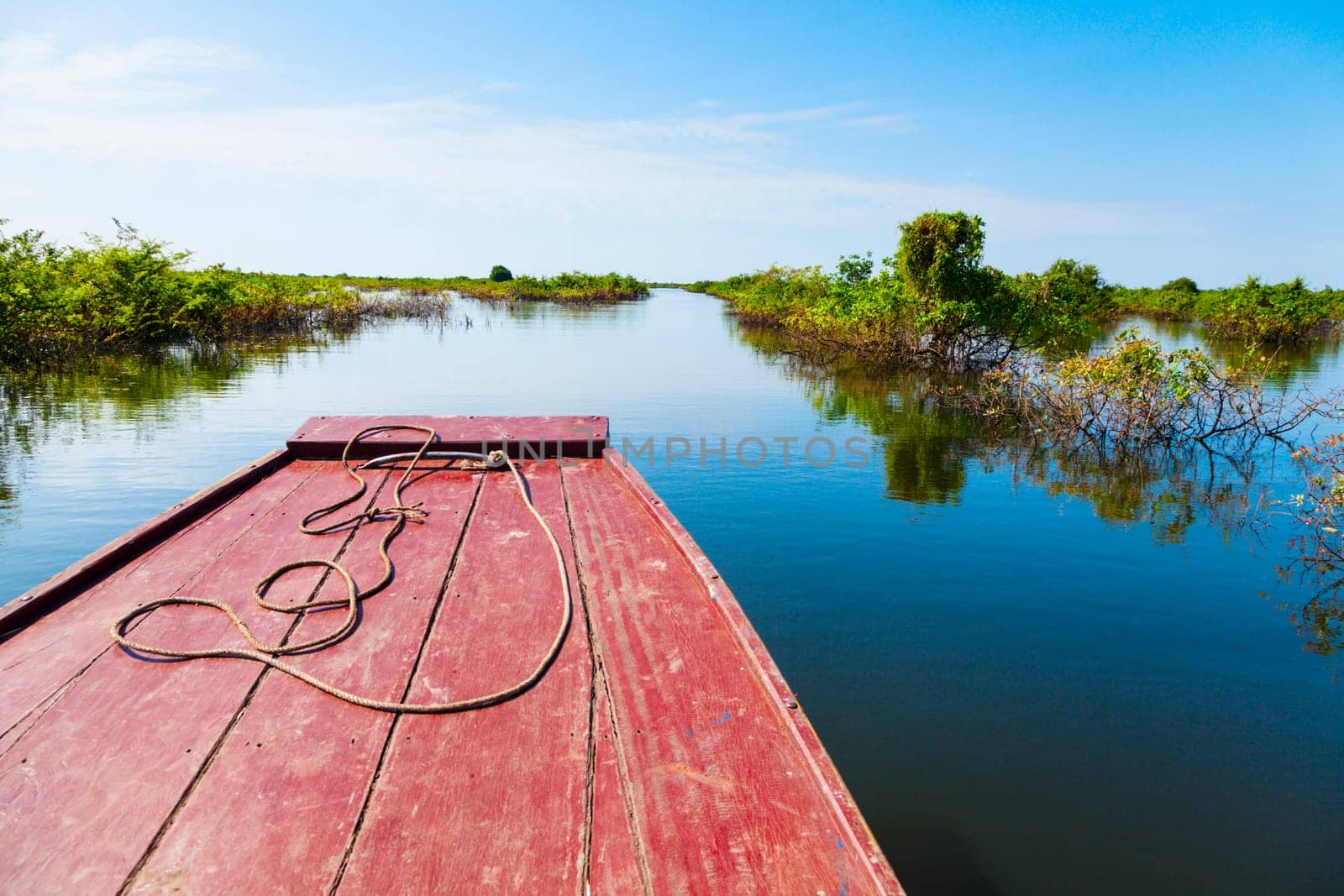 Boat is navigating through vegetation in Tonle Sap Lake in Cambodia