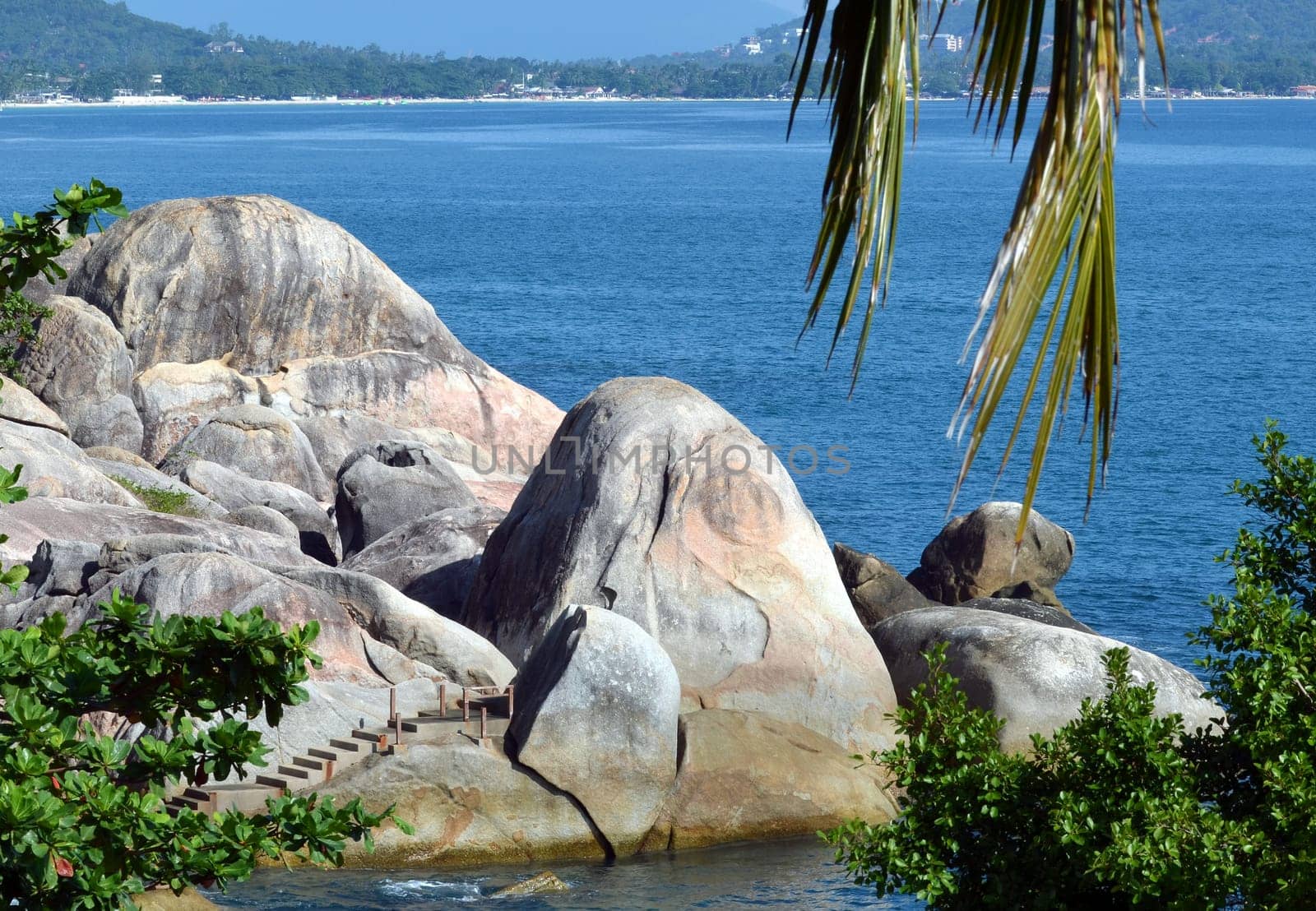Dream Island