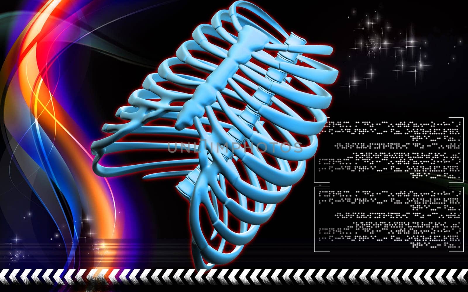 Digital illustration of rib cage in colour background