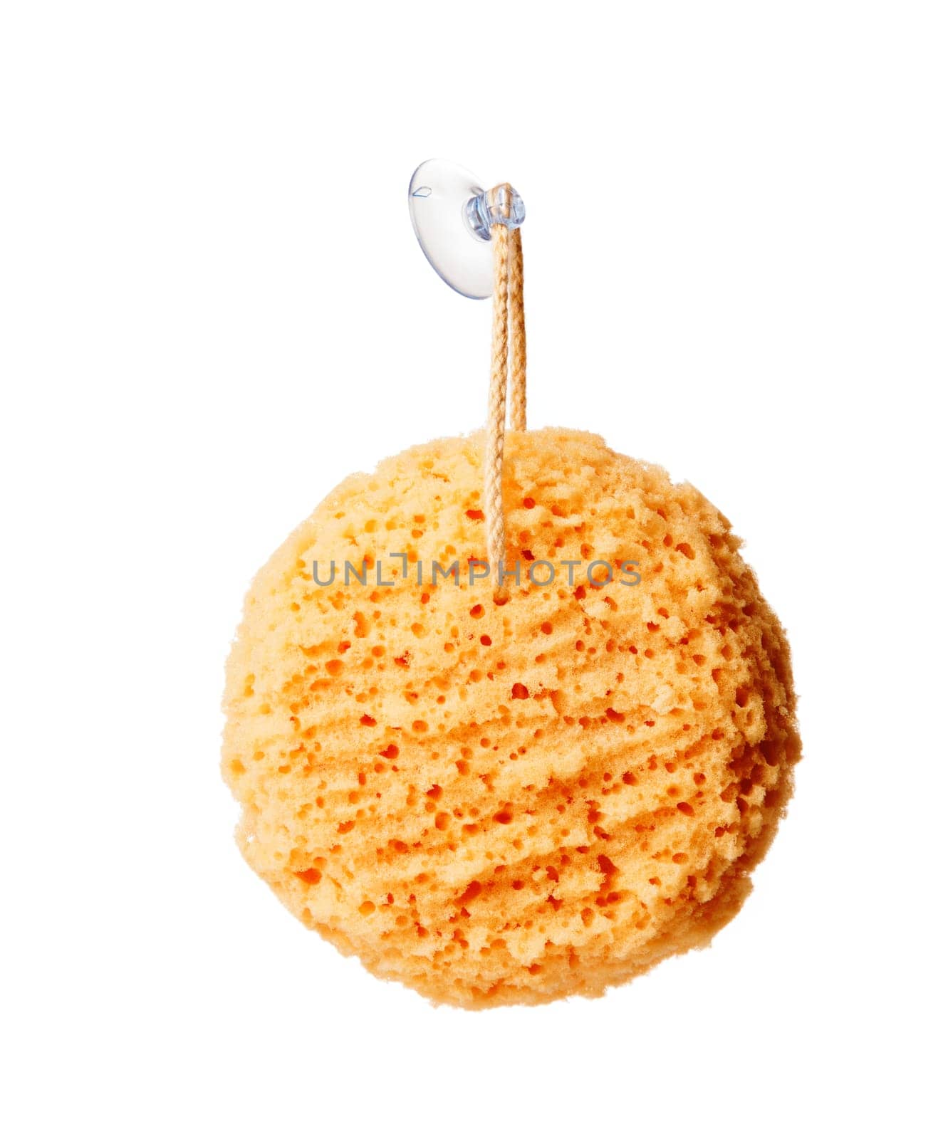 Sponge on a rope isolated on white background
