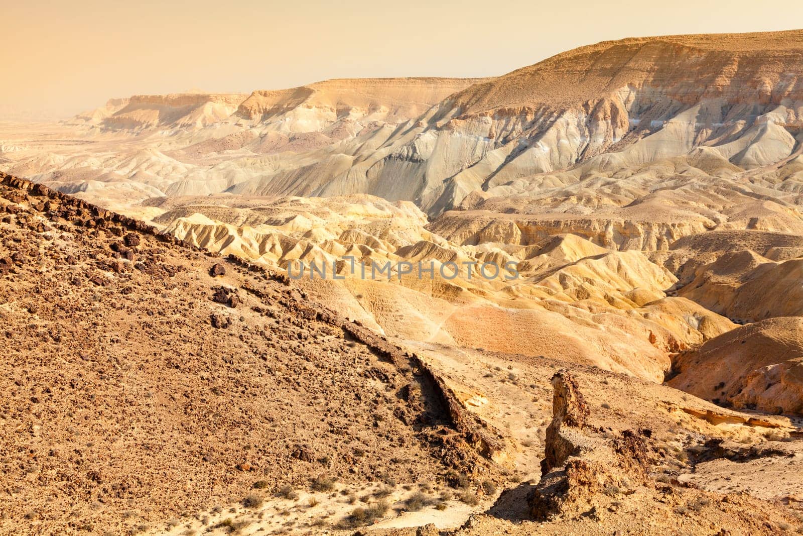 Scenic view of a canyon in Negev Desert in Israel