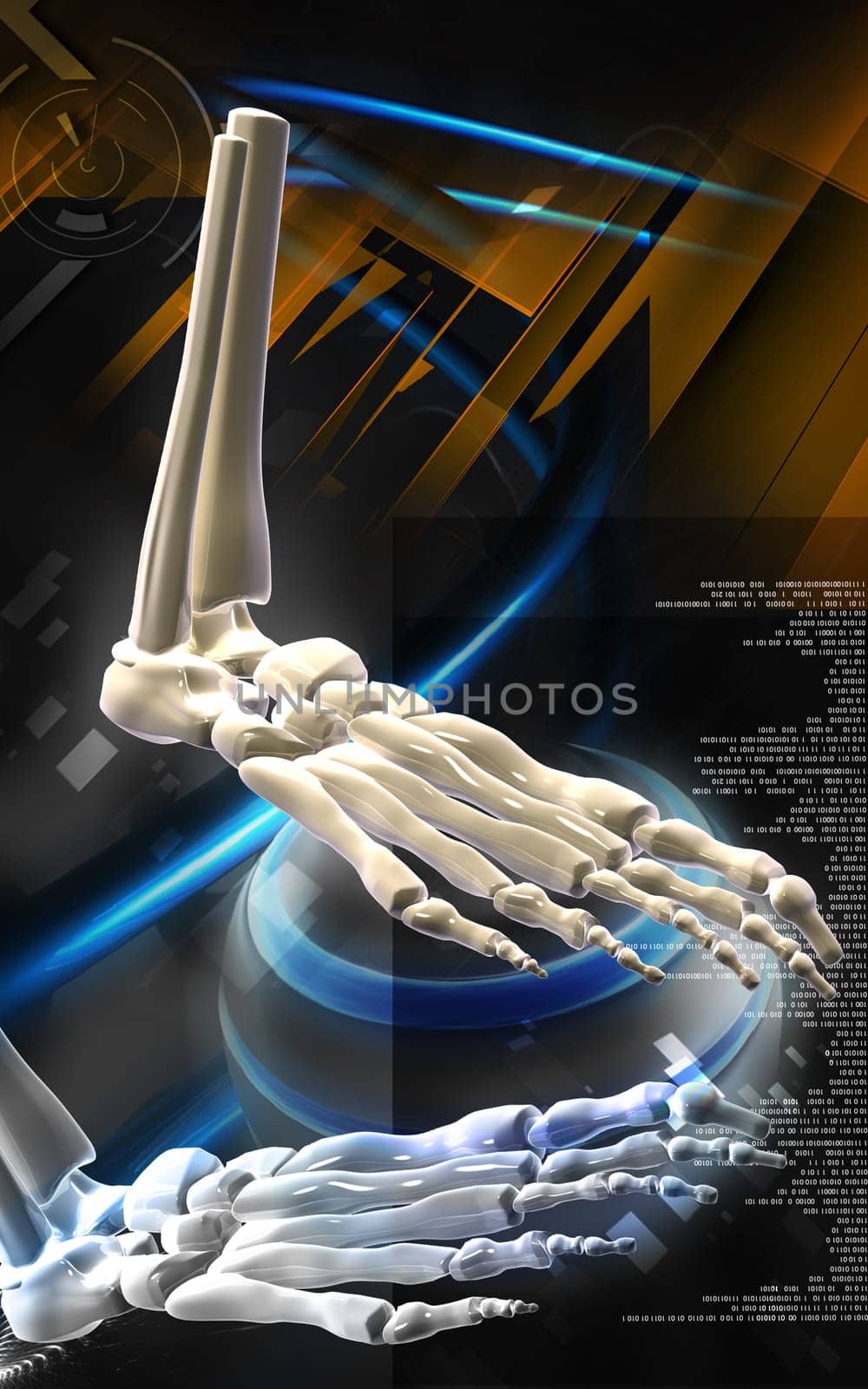 Digital illustration of Leg bone in colour background