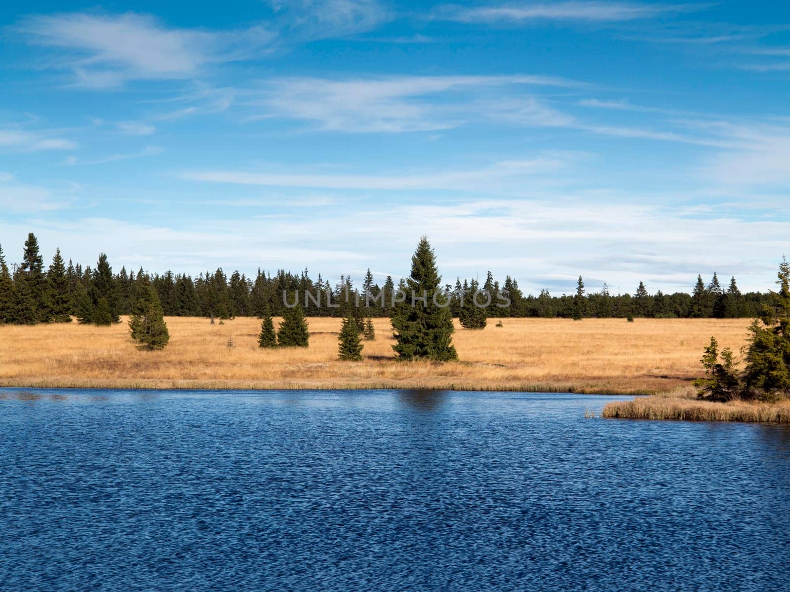 Dead pond is surrounded by woods approximately three kilometers northeast of Hrebecna. By the dark color of the water caused by the surrounding peat is sometimes called the Black Pond. The Ore Mountains, Czech republic.