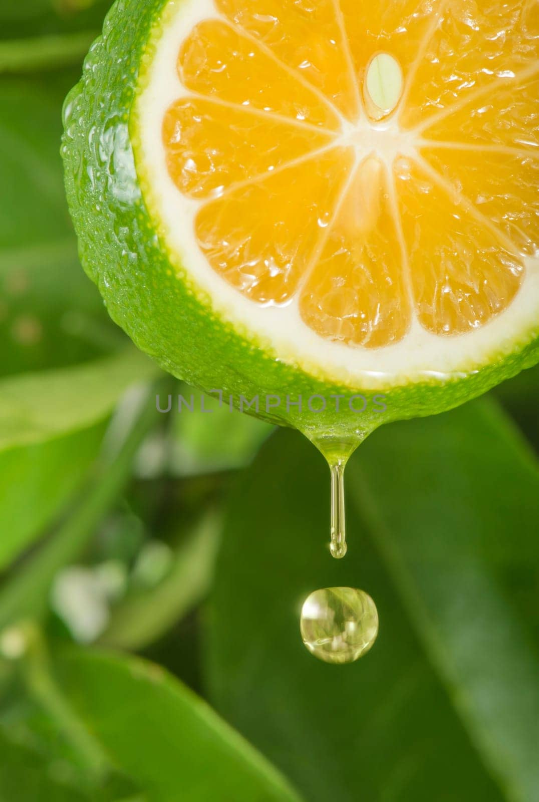 Drop of lemon juice falling down.