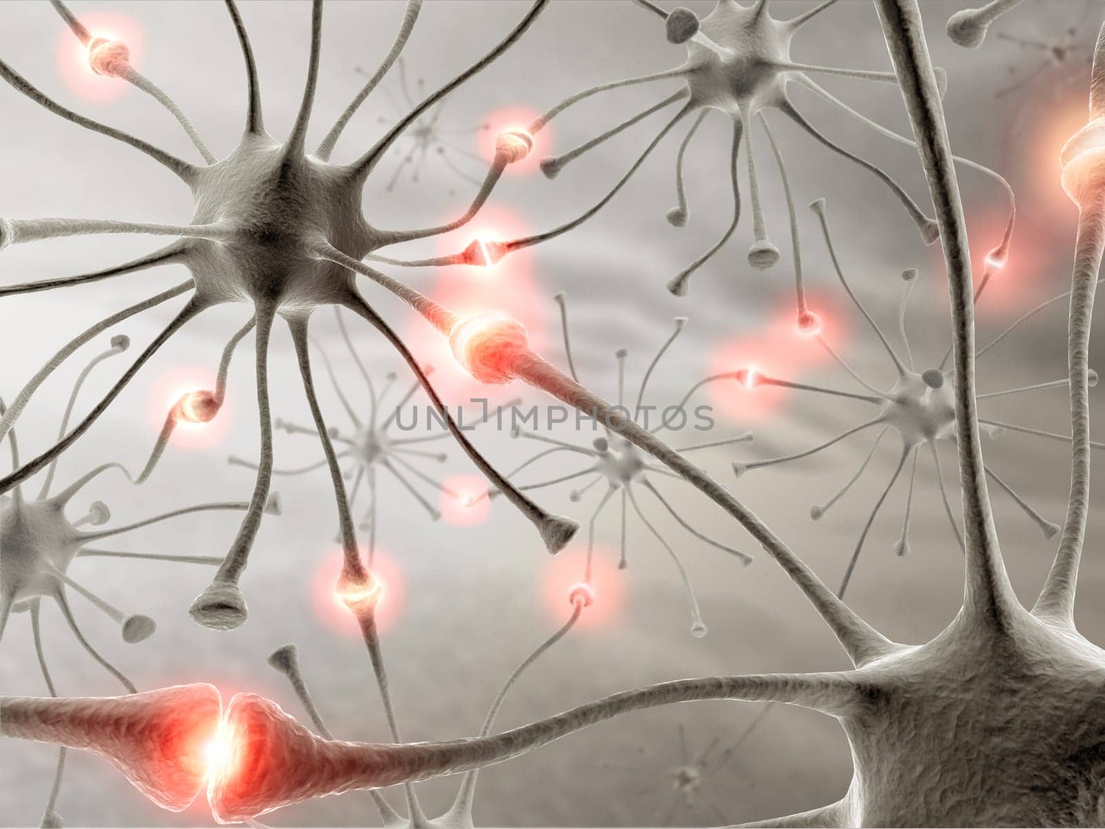 Image concept of a network of neurons in the human brain.