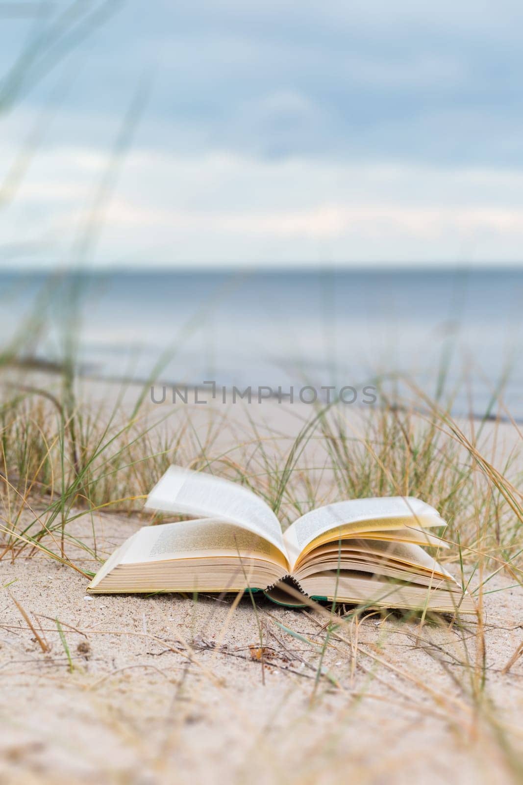 Thoughts on the beach....