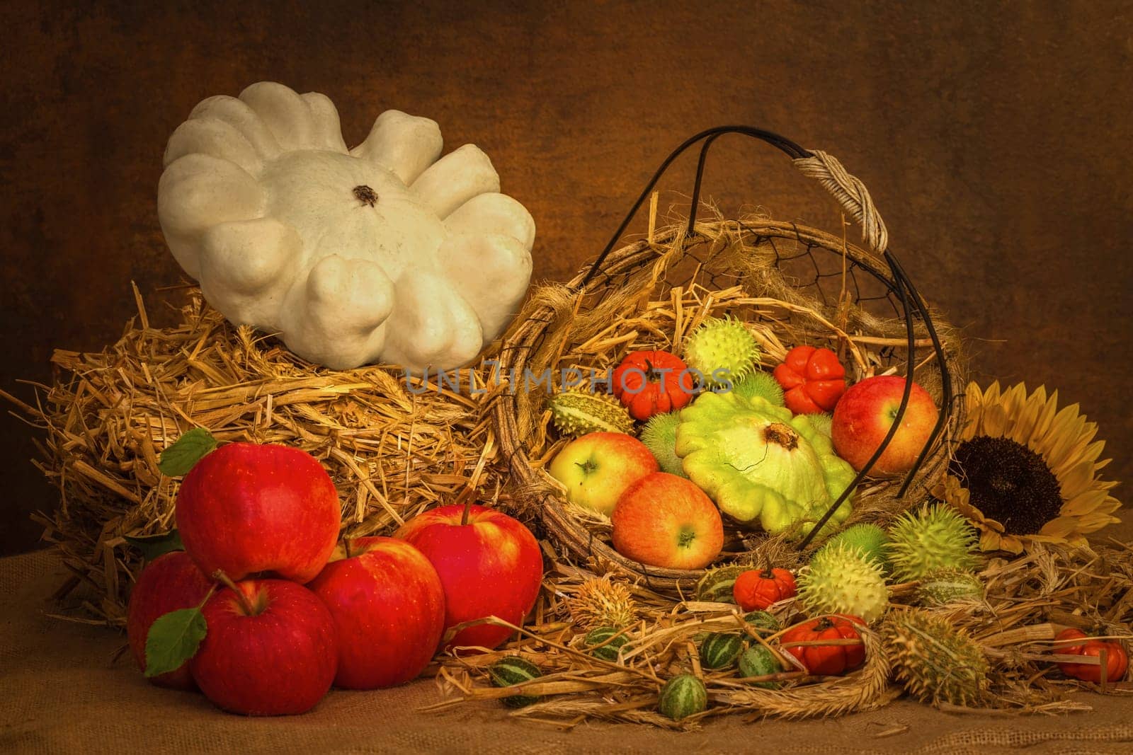 Harvest time