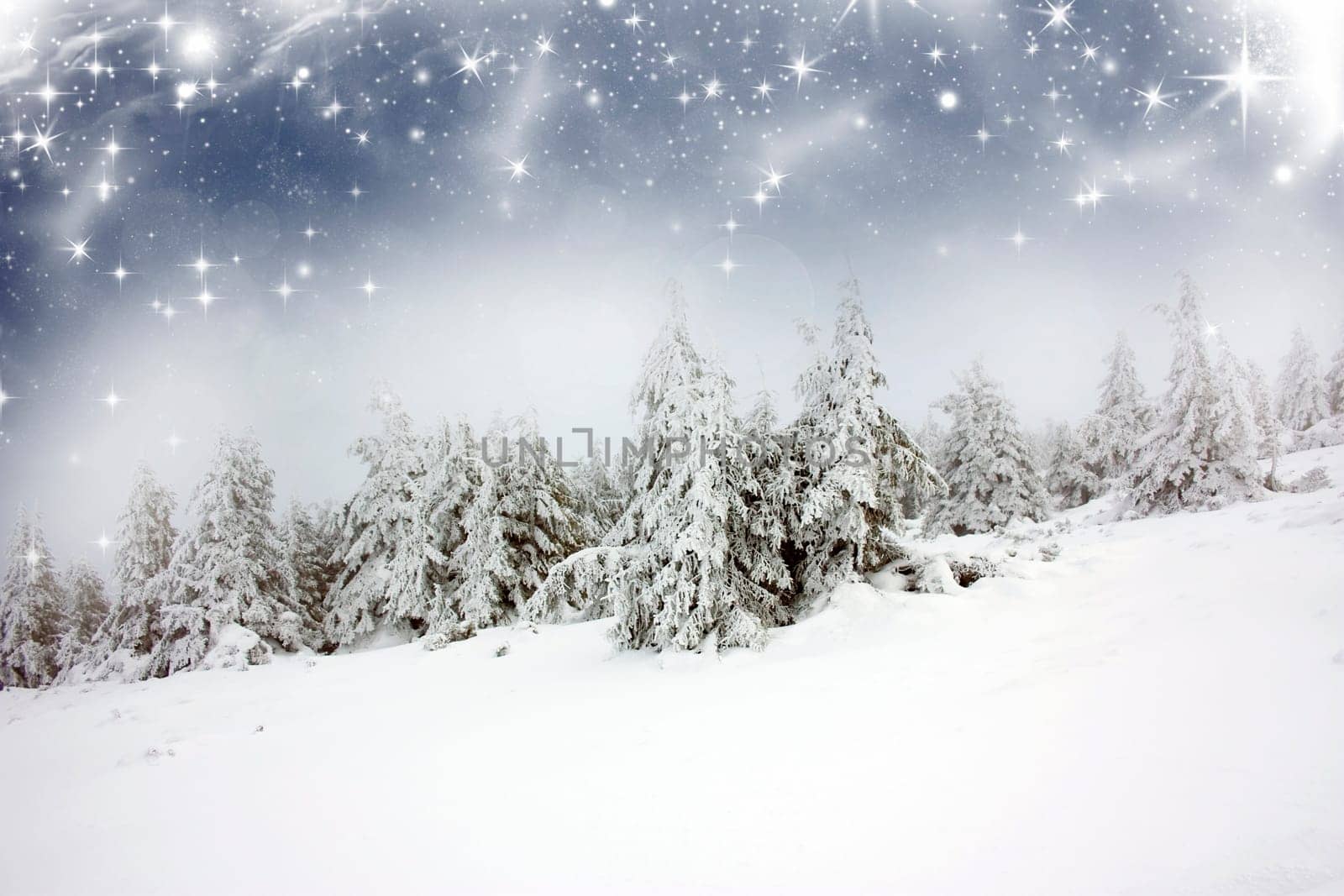 Christmas background with snowy fir trees under the glistering sky