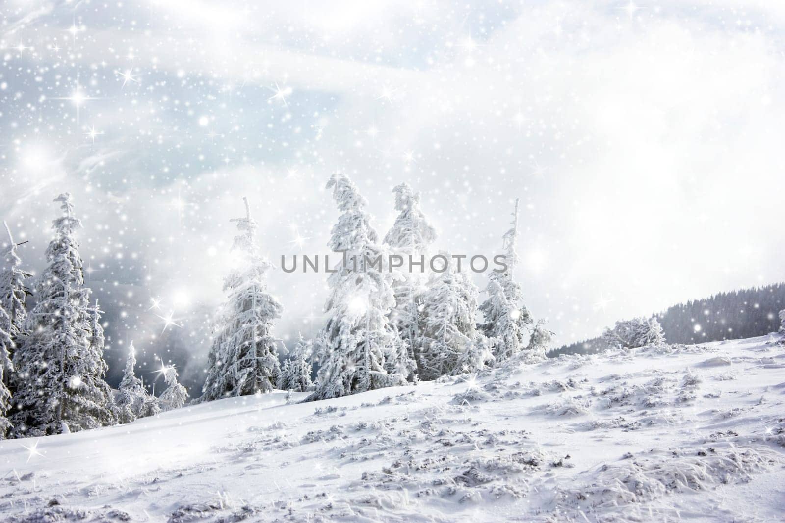 Christmas background with stars and snowy fir trees and snowflakes