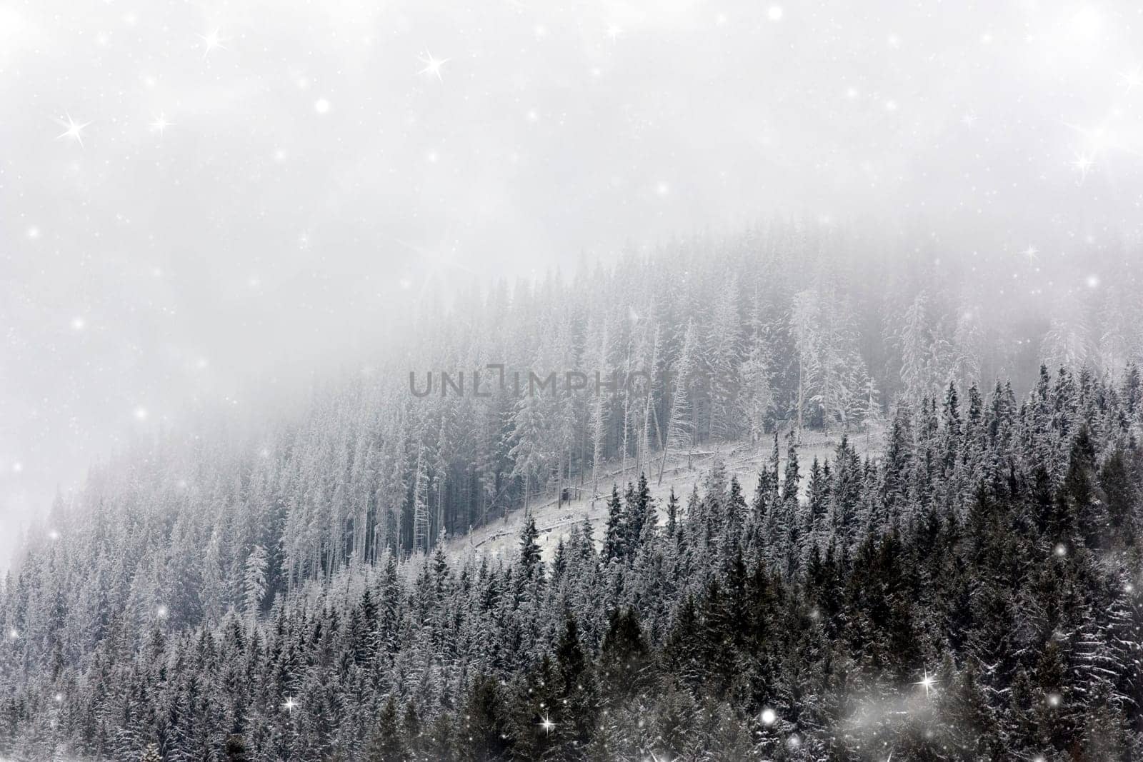 Christmas background with snowy fir trees