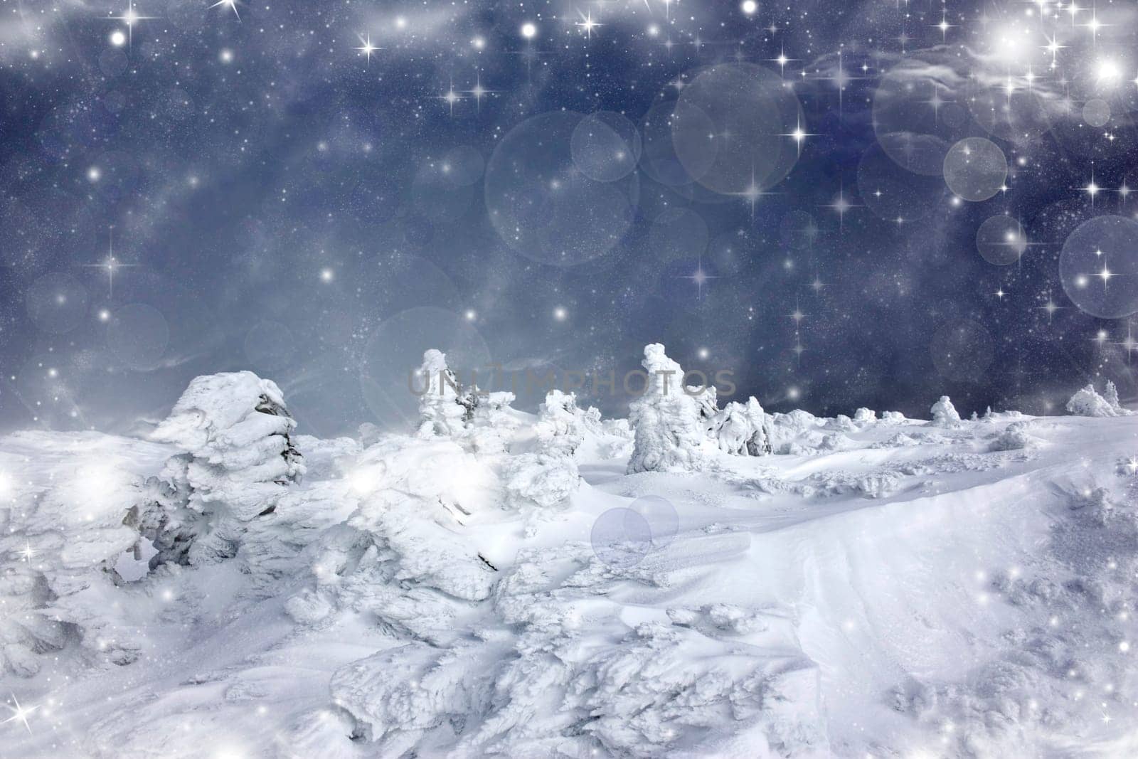 Christmas background with snowy fir trees and sky with stars