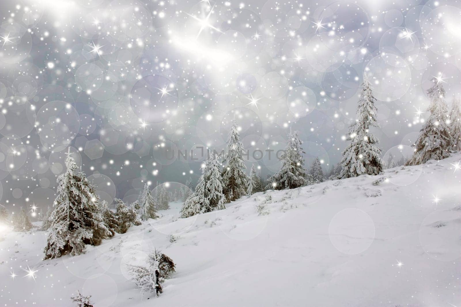 Christmas background with snowy fir trees and sky with stars