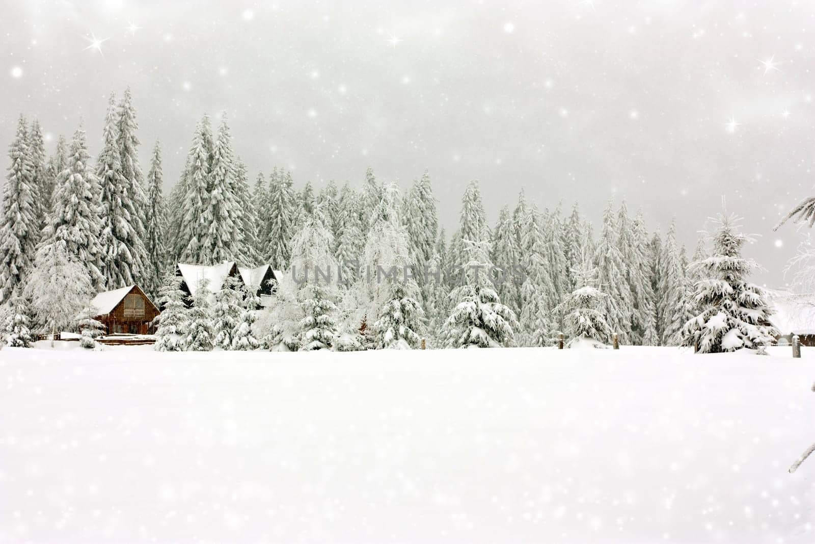 Mountain cottages in the winter landscape