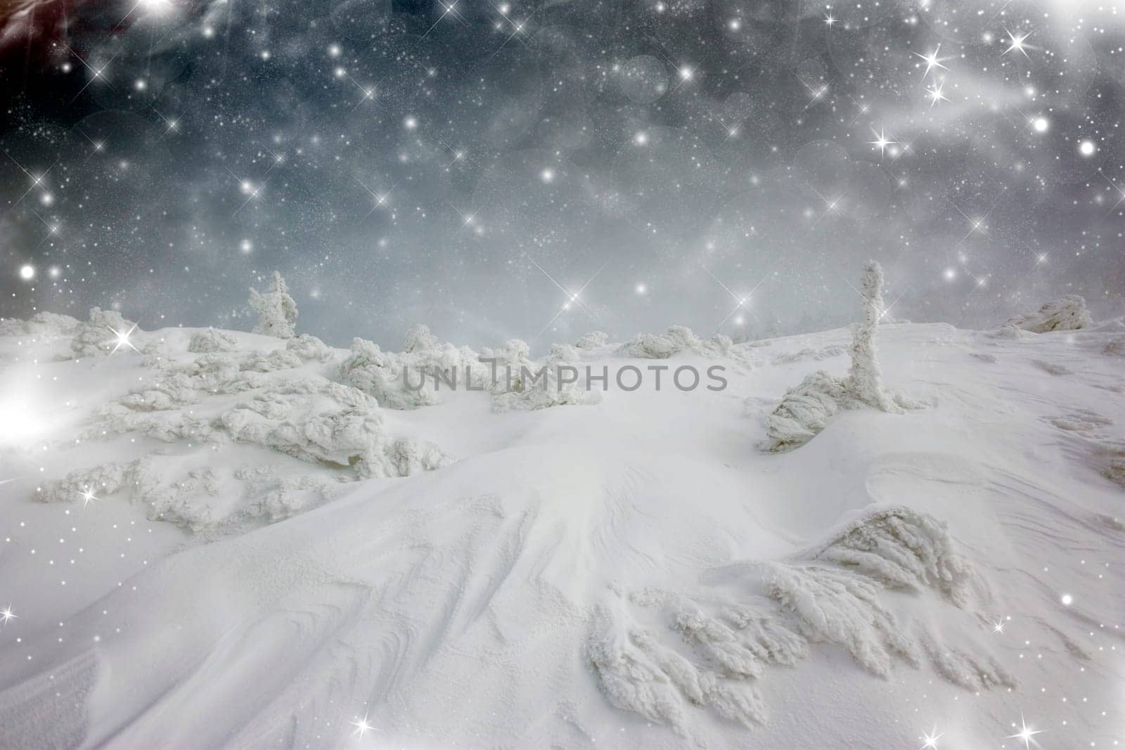 Christmas background with stars and snowy fir trees on the mountain