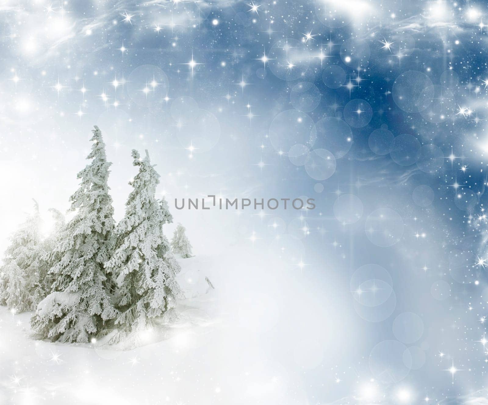 Christmas background with stars and snowy fir trees and snowflakes