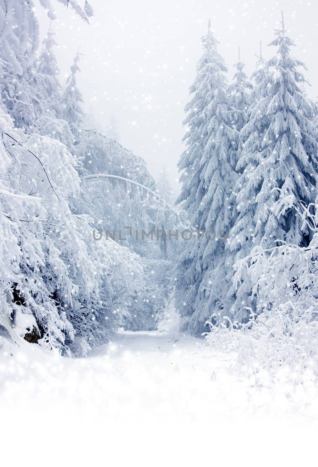 Christmas background with stars and footsteps in the snow