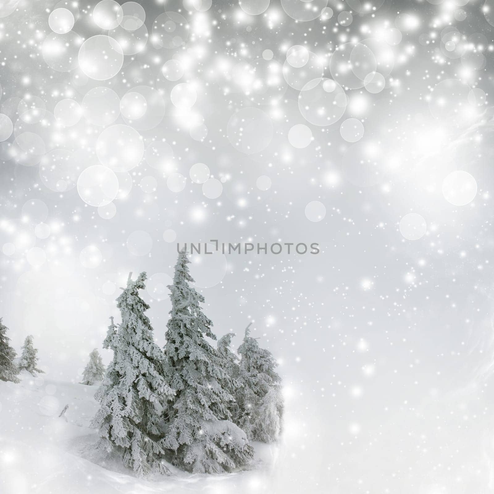Christmas background with snowy fir trees