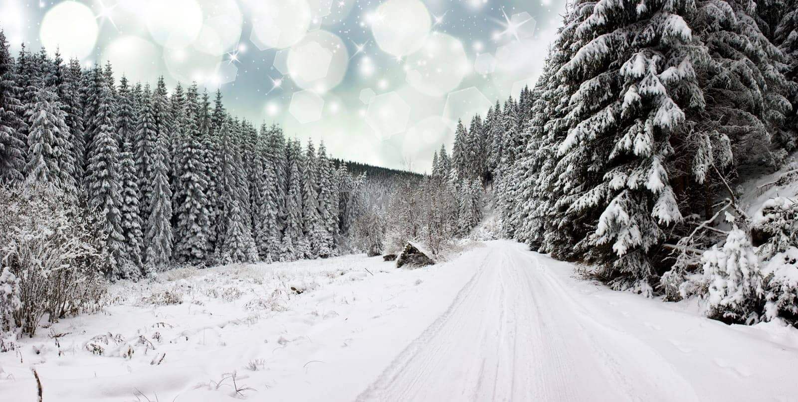 Christmas background with snowy fir trees and snow covered road