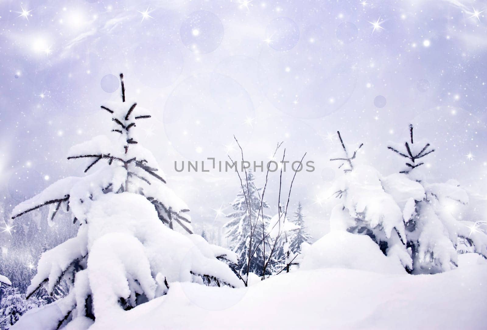Christmas background with snowy fir trees and sky with stars