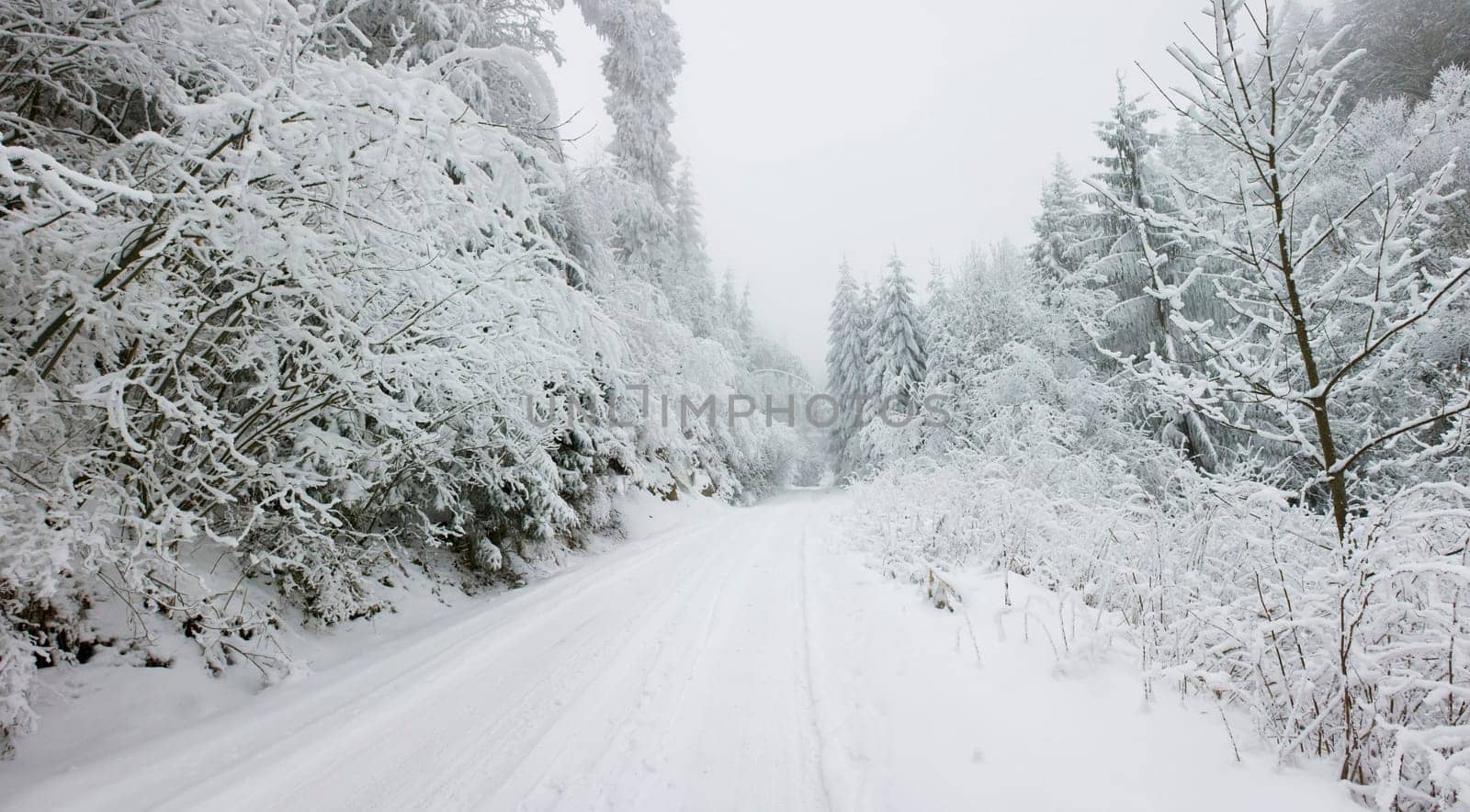 Christmas background snow covered road with snowy fir trees