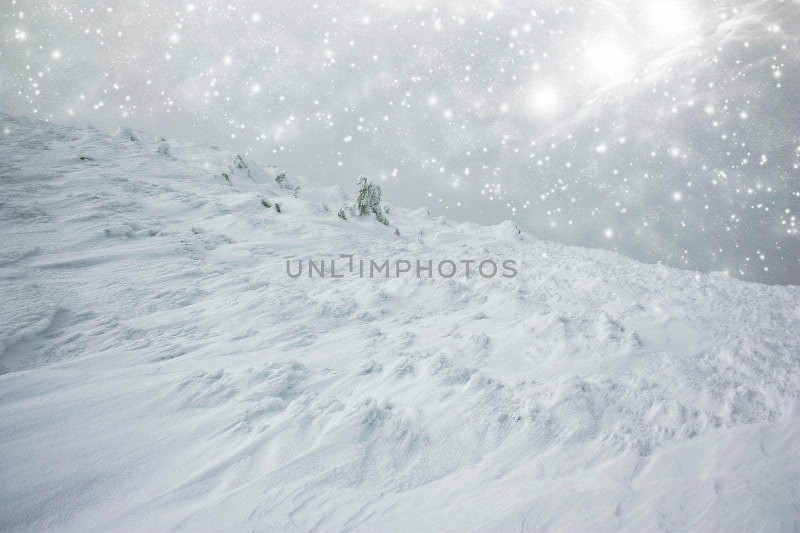 Christmas background with snowy fir trees