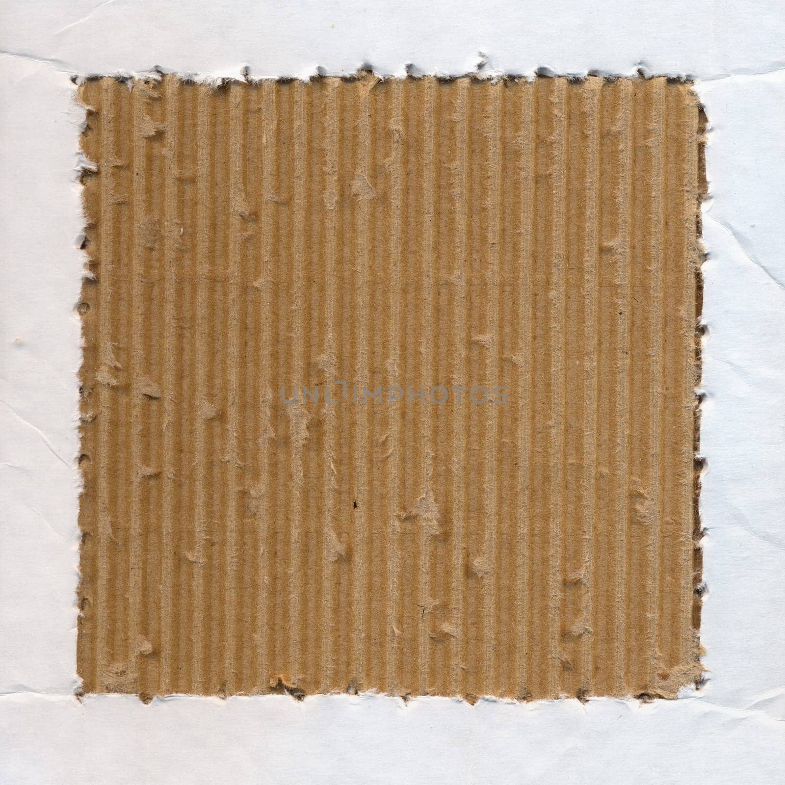 Cardboard blank paper frame background. Grunge design element.