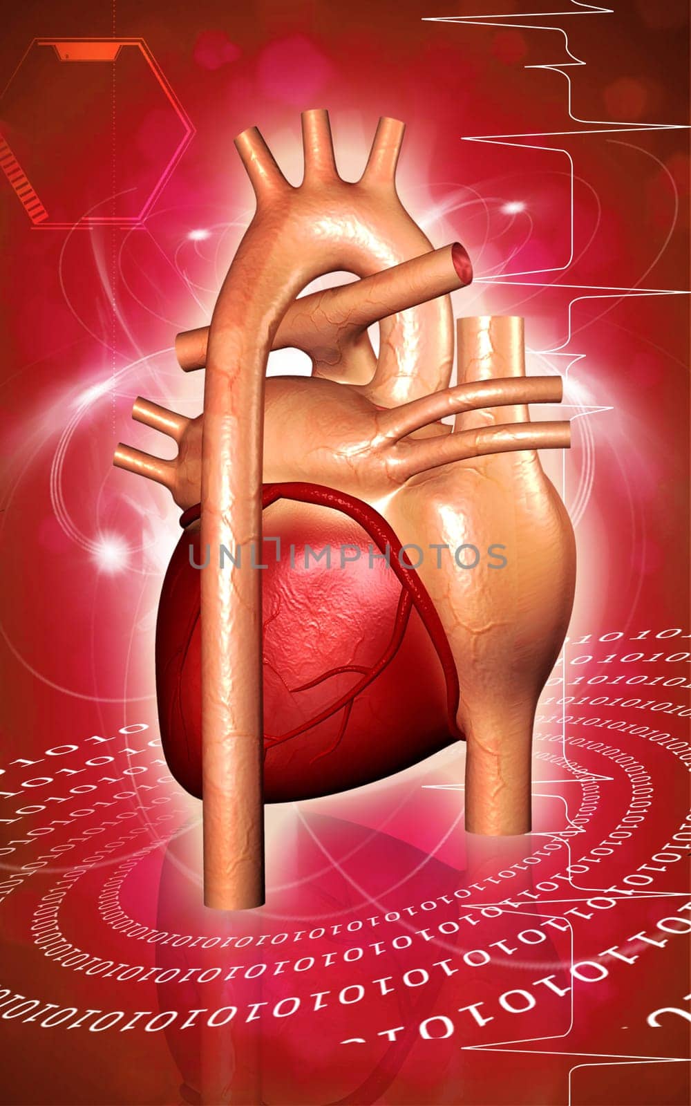 Digital illustration of heart in colour background