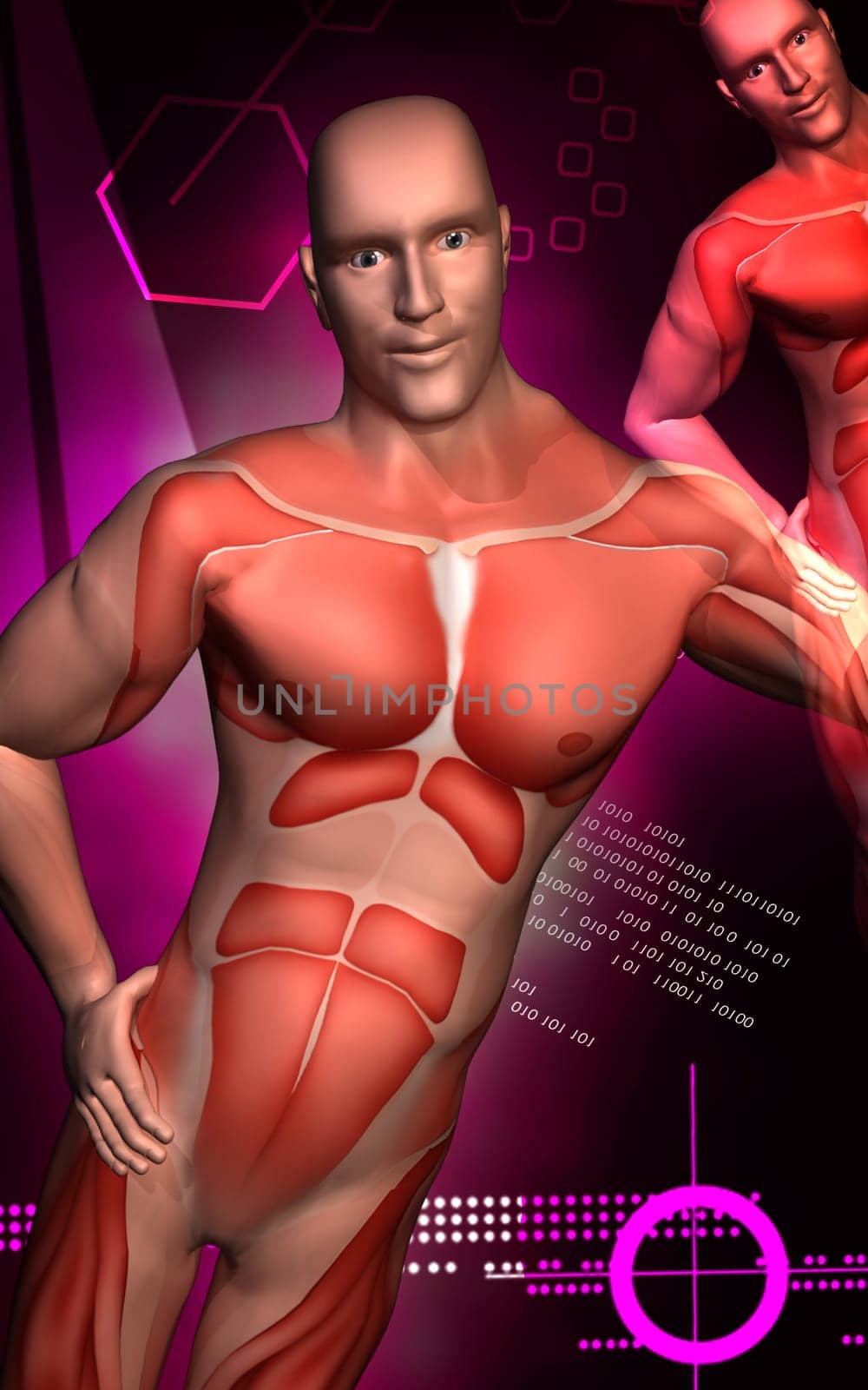 Digital illustration of human body in colour background