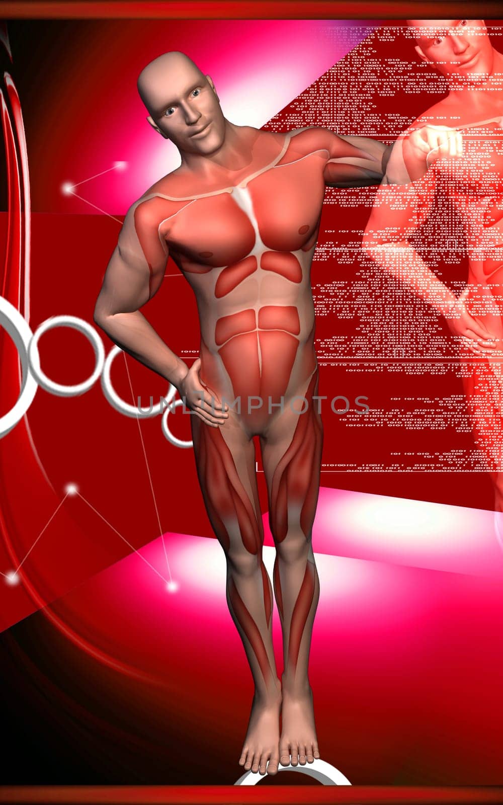 Digital illustration of human body in colour background