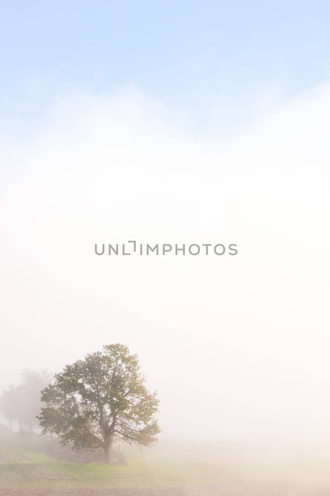 Foggy weather