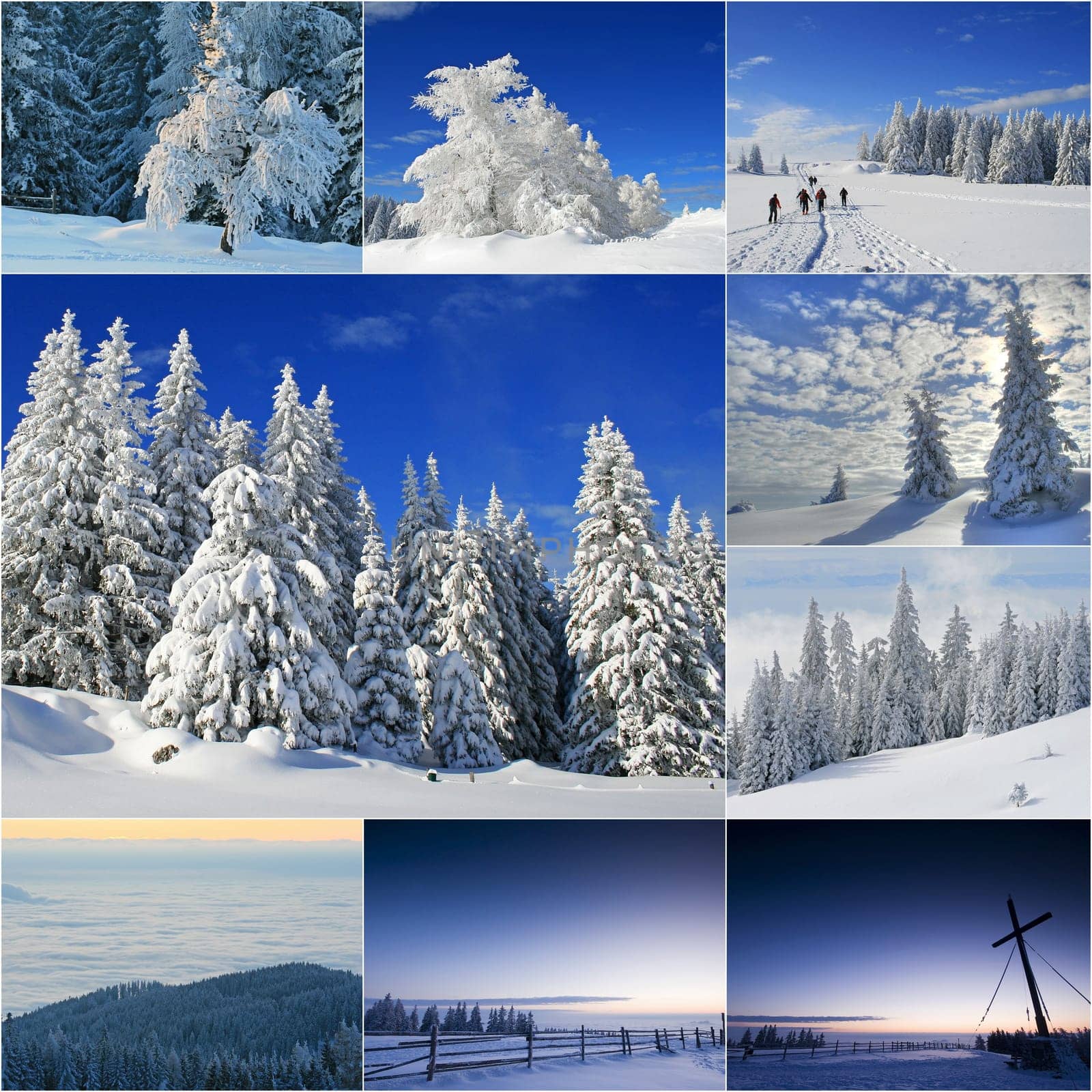 winter or winter snow or winter ice or winter deep snow