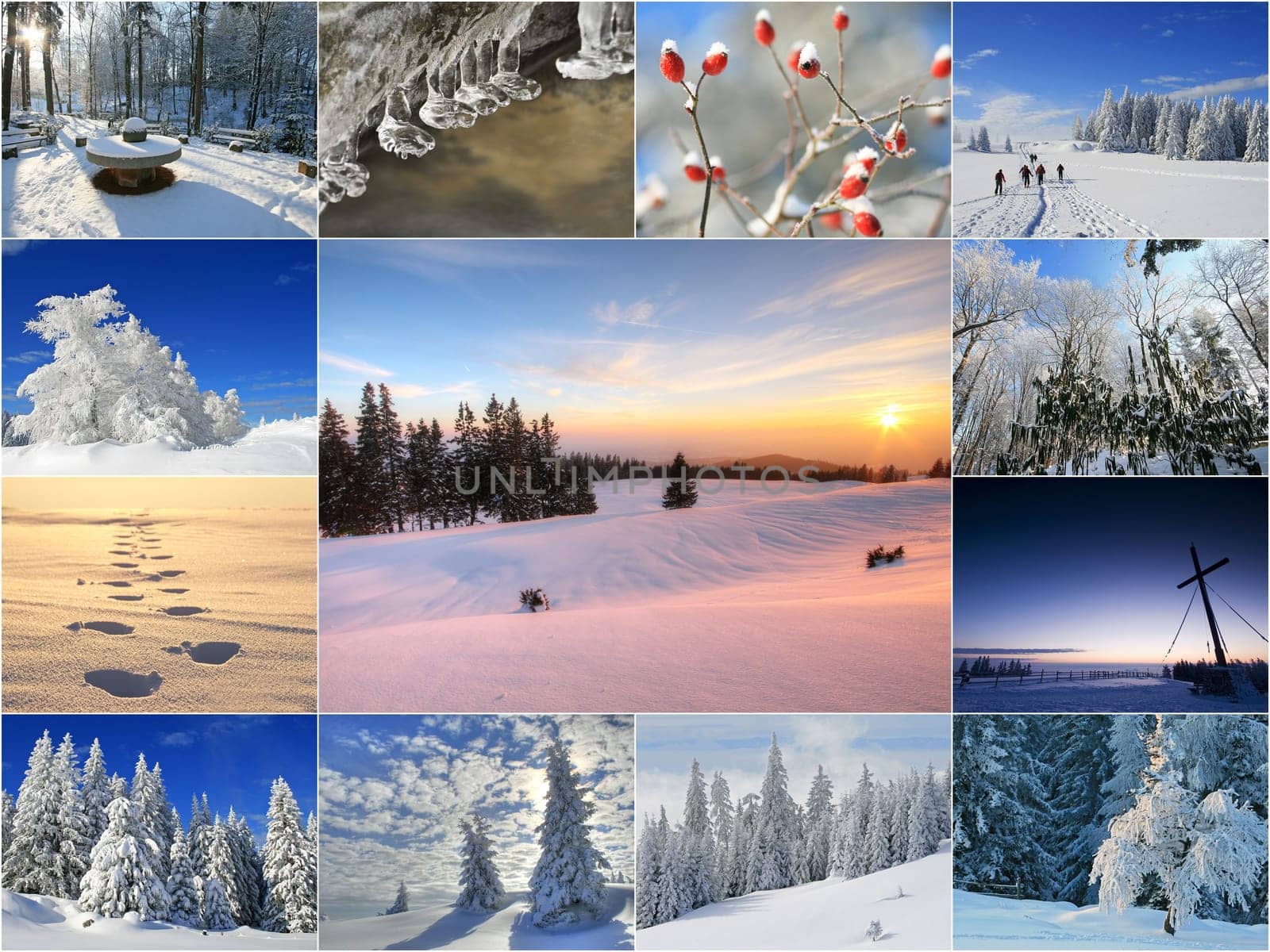 winter or winter snow or winter ice or winter deep snow