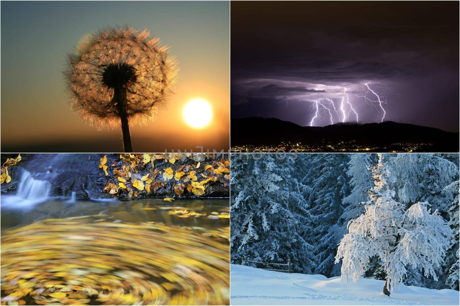 four seasons