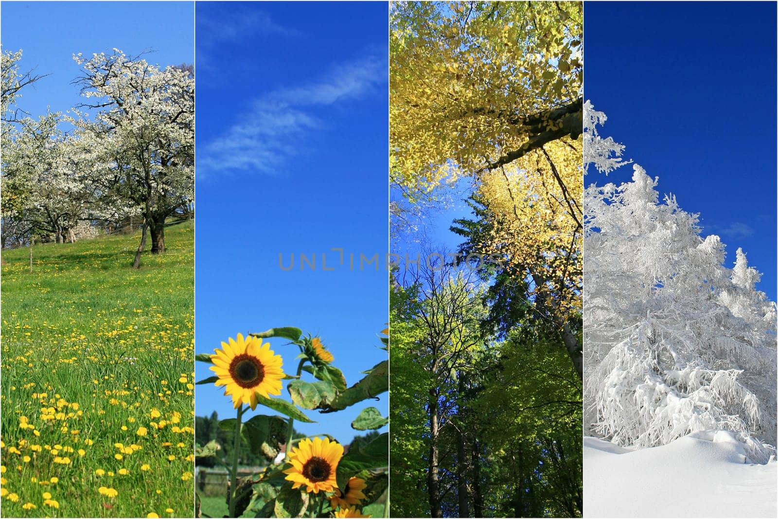 four seasons