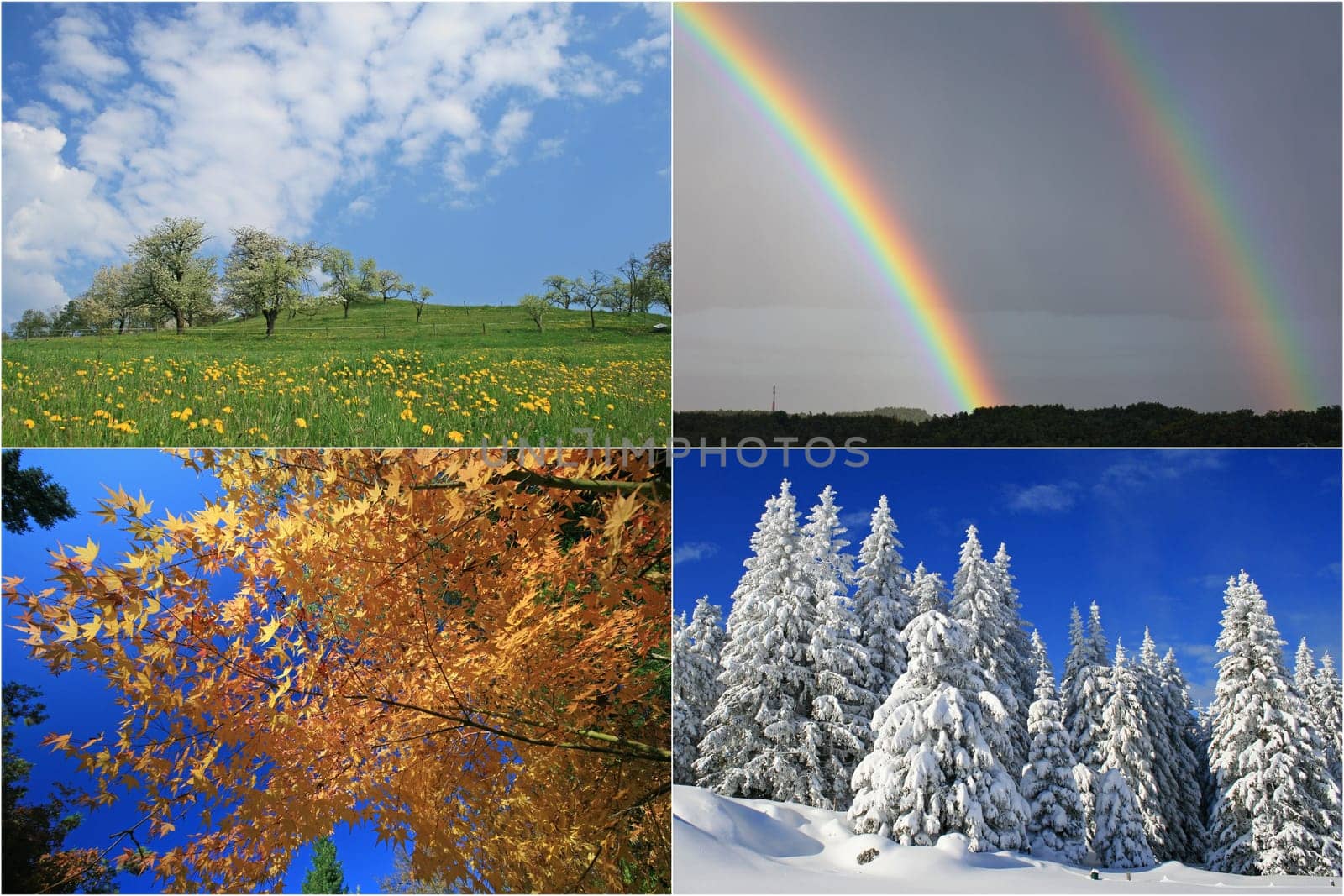 four seasons
