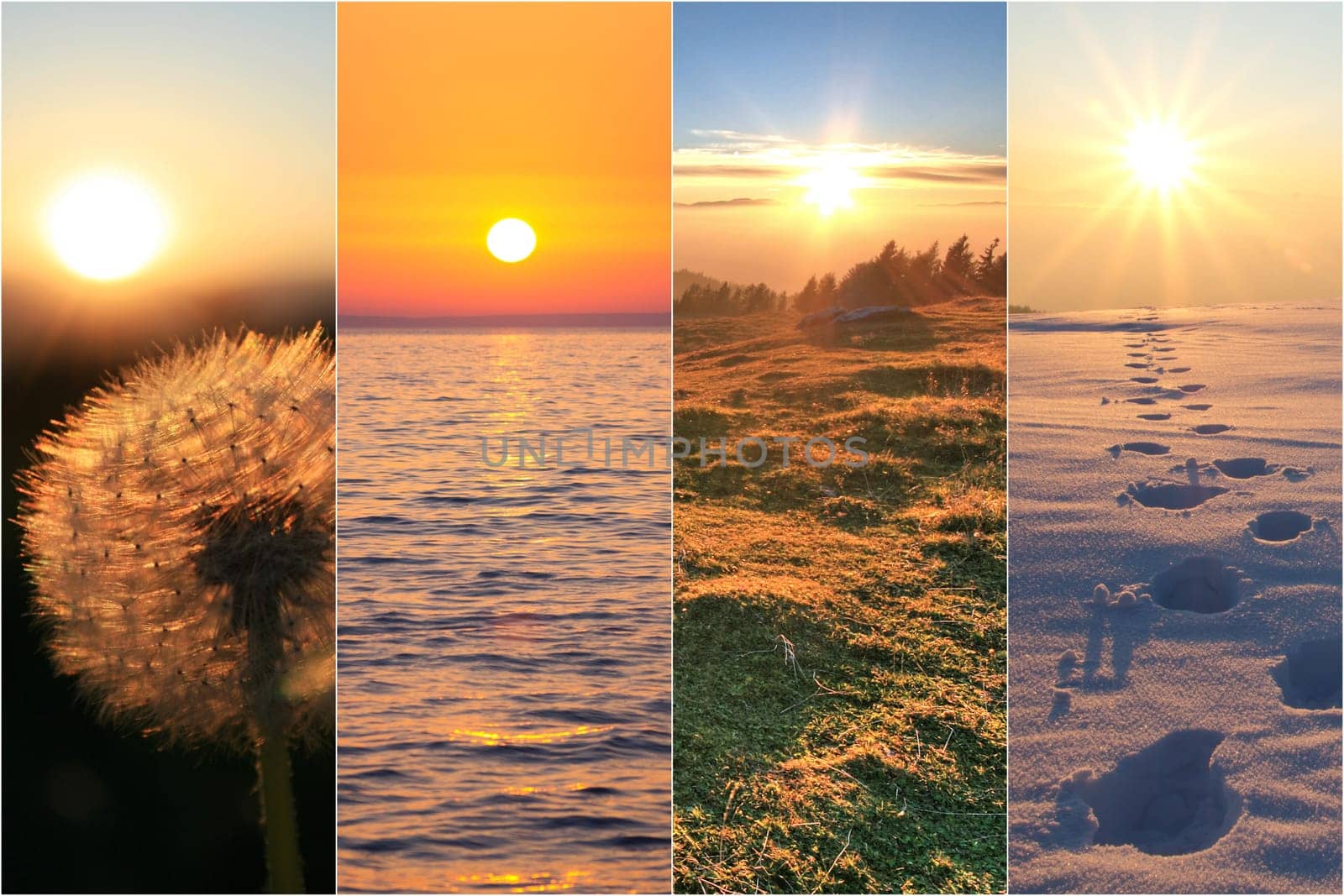 four seasons