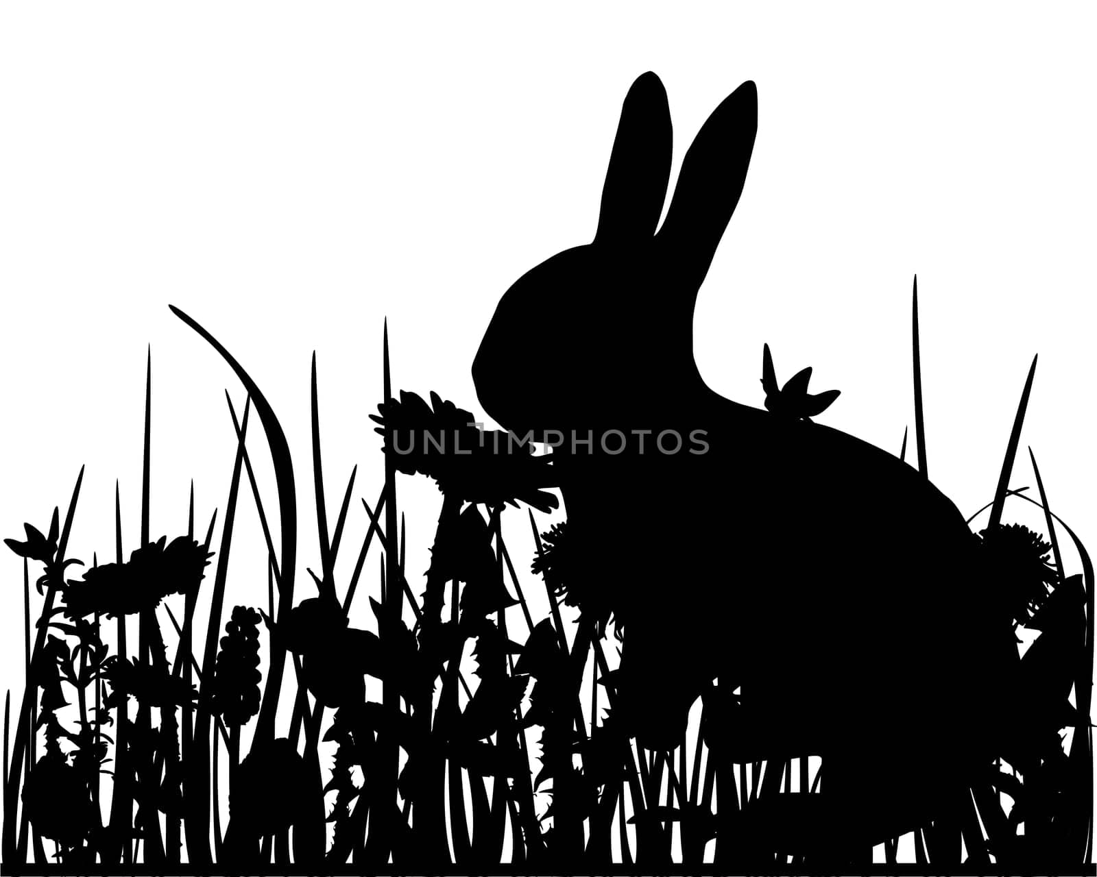 Rabbit on meadow
