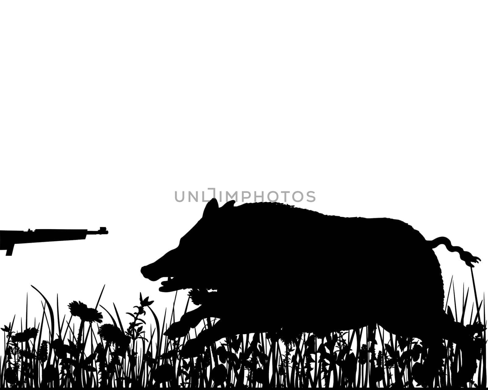 Wild pig hunting