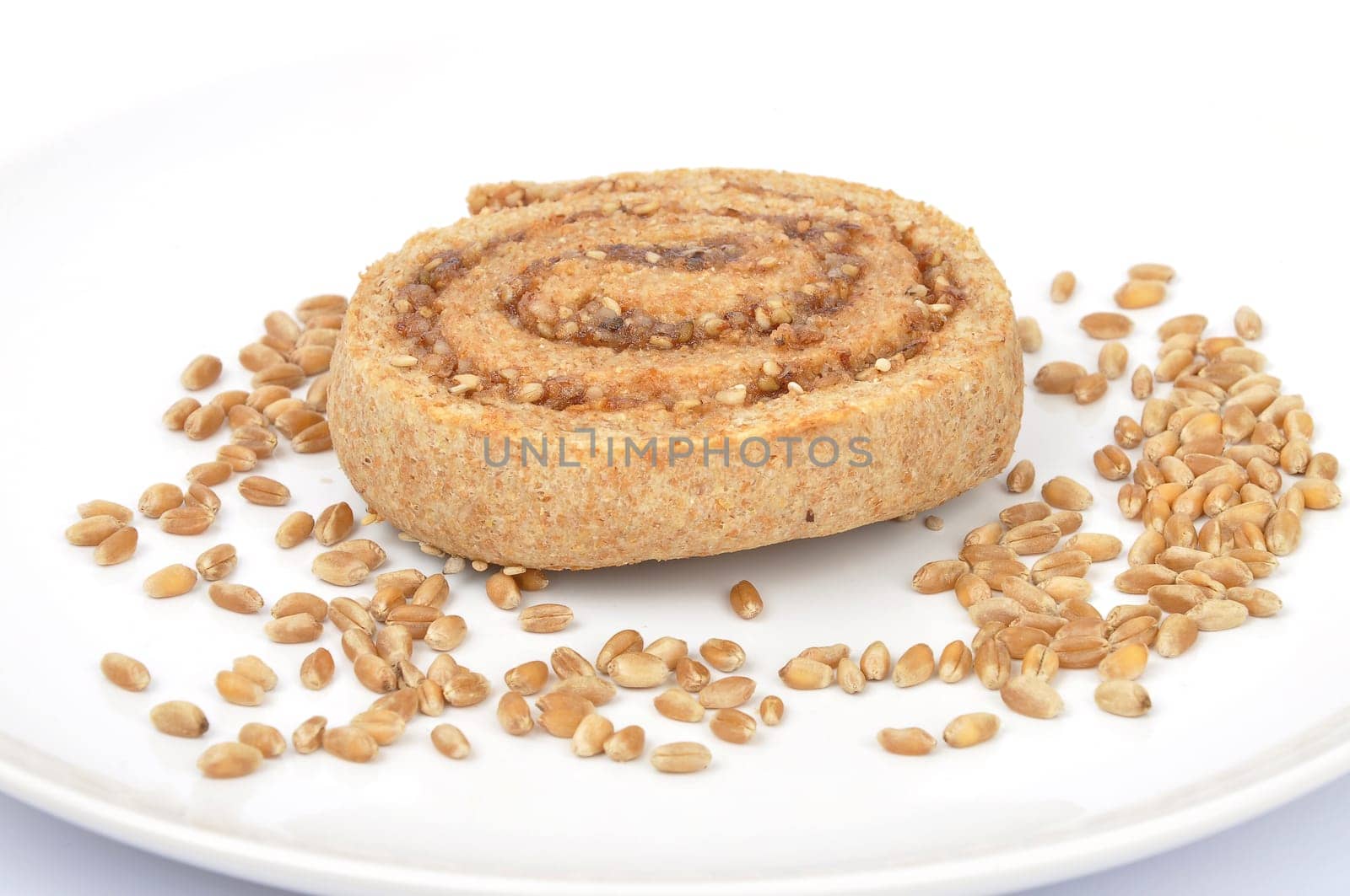 Hazelnut snail