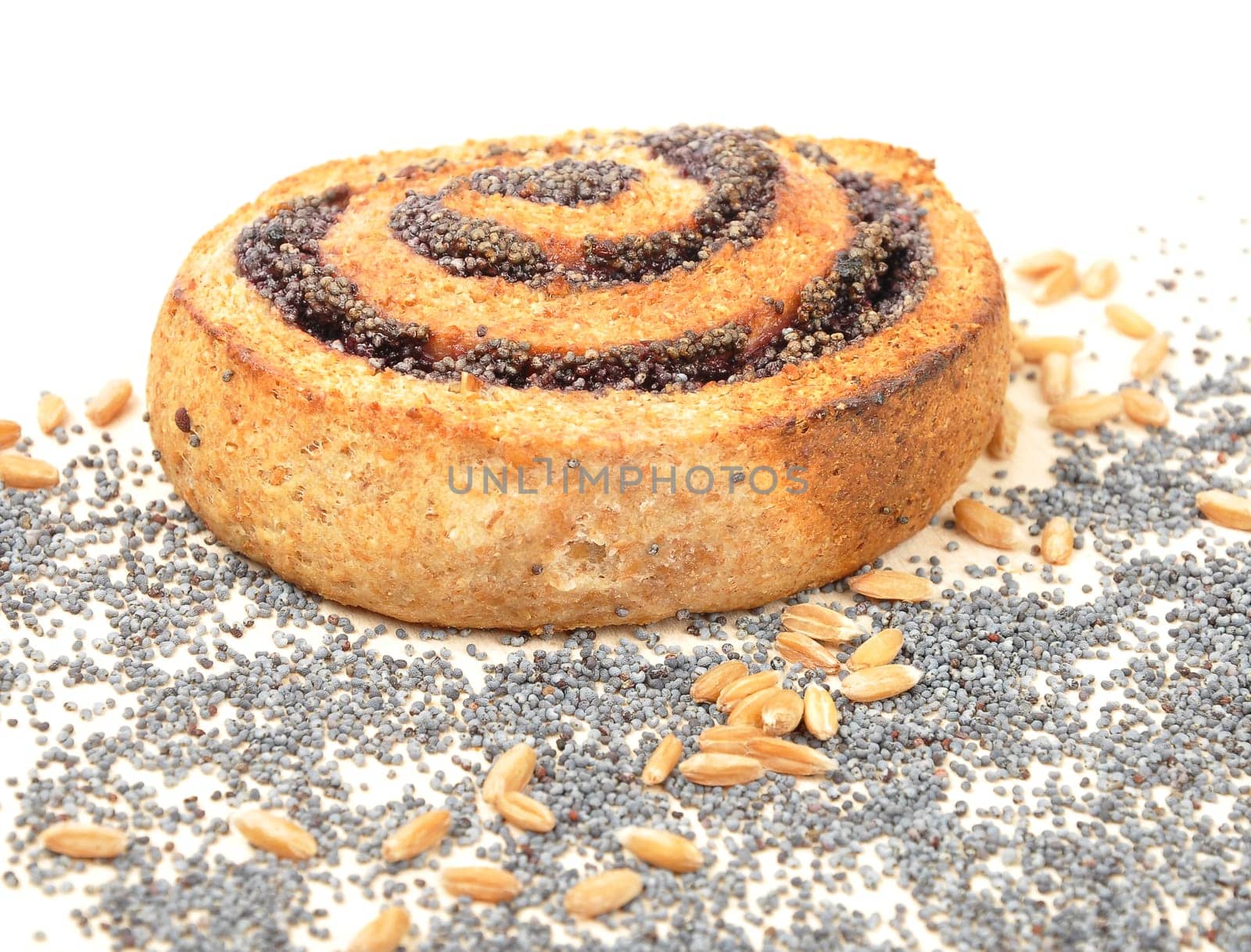 Poppy snails